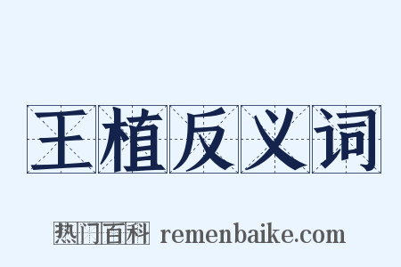 王植反义词是什么意思的图片